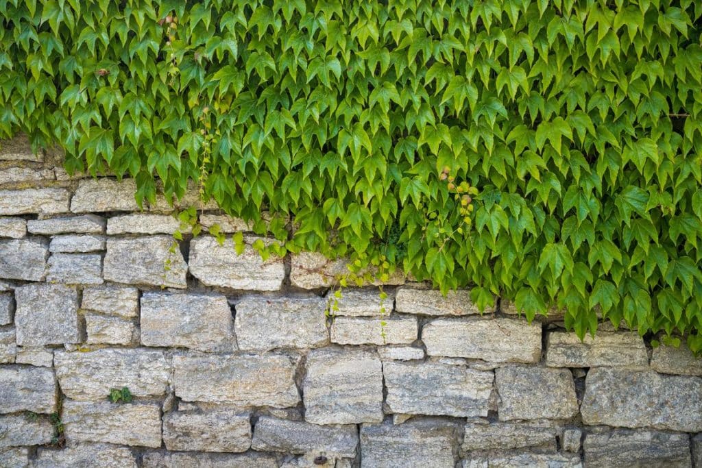 mur de soutenement qui s'effondre assurance