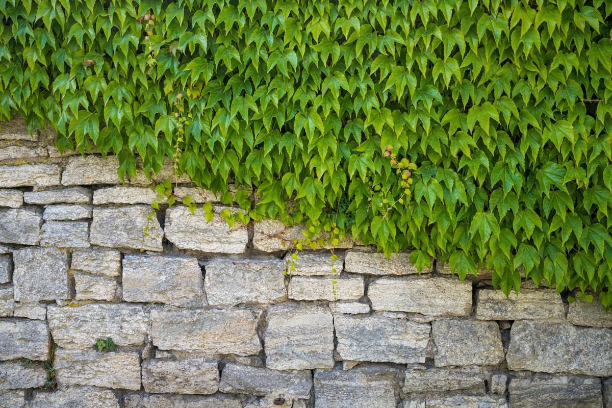 mur de soutenement qui s'effondre assurance