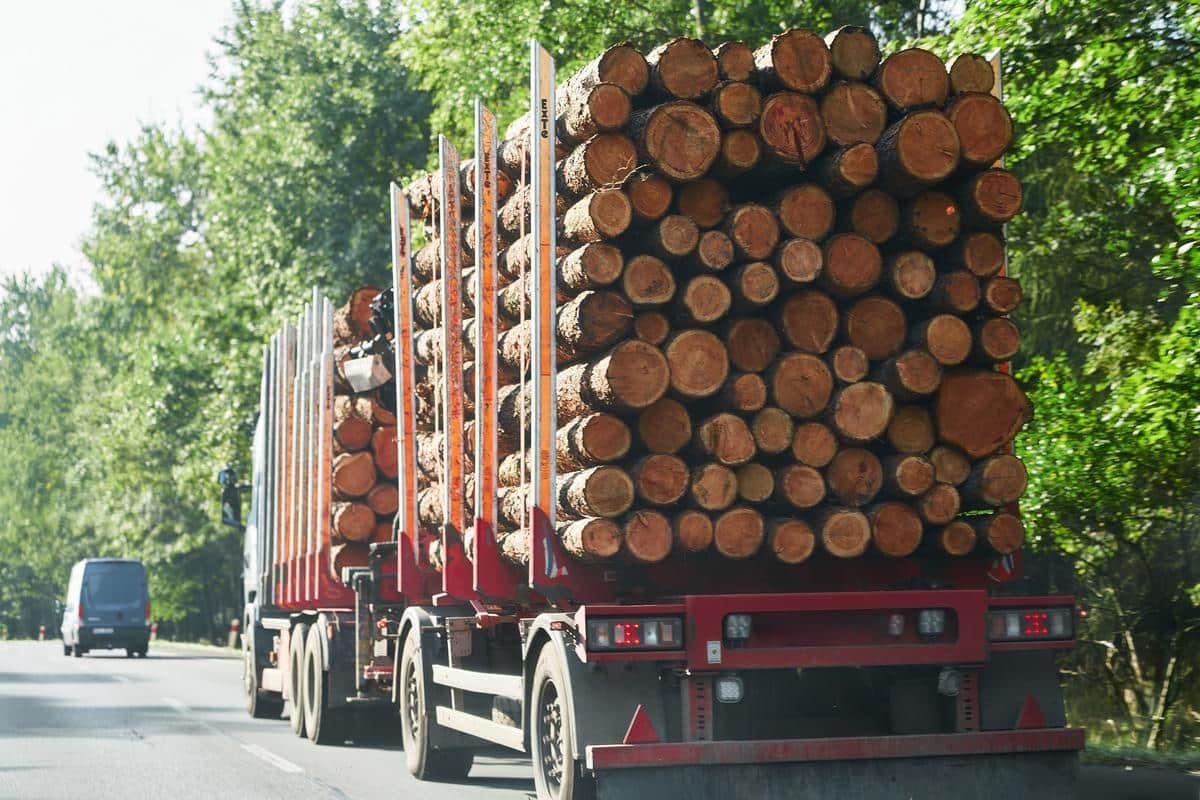 prix d un camion de bois en grume